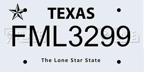 FML3299 Texas License Plate