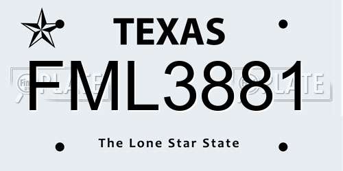 FML3881 Texas License Plate