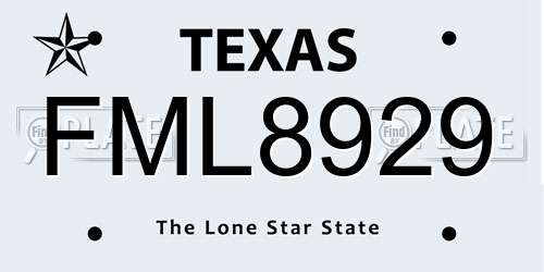 FML8929 Texas License Plate