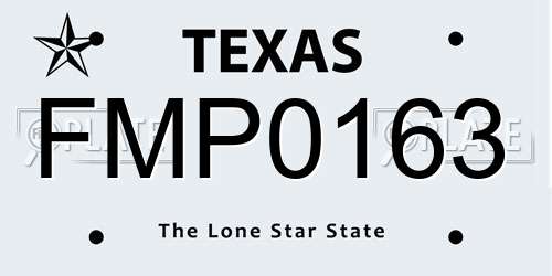 FMP0163 Texas License Plate