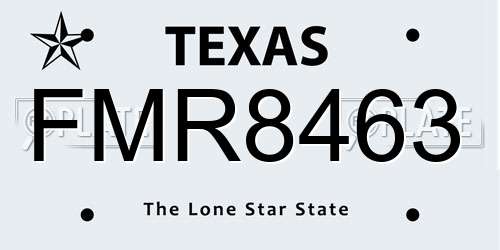FMR8463 Texas License Plate