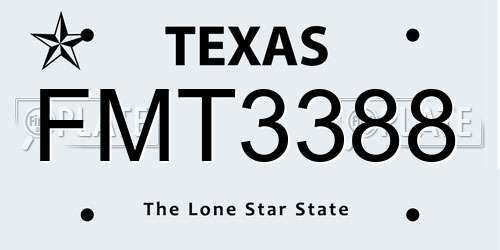 FMT3388 Texas License Plate