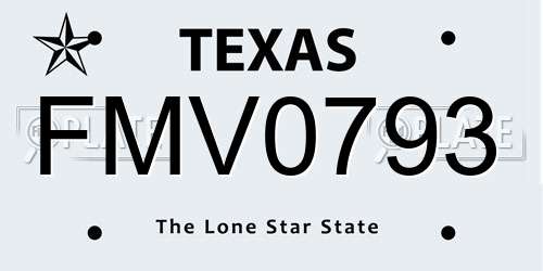 FMV0793 Texas License Plate