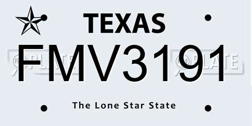 FMV3191 Texas License Plate
