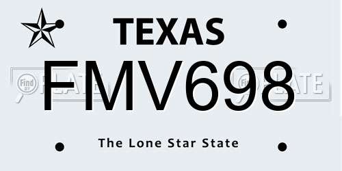 FMV698 Texas License Plate