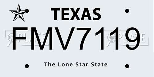 FMV7119 Texas License Plate
