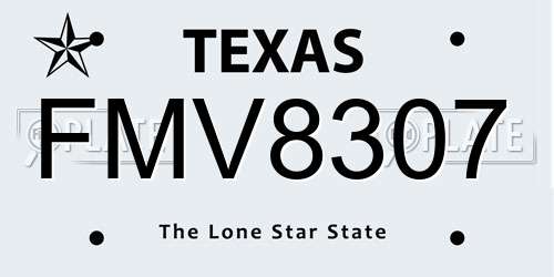 FMV8307 Texas License Plate