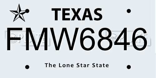 FMW6846 Texas License Plate