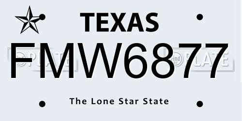 FMW6877 Texas License Plate