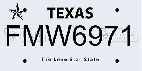 FMW6971 Texas License Plate
