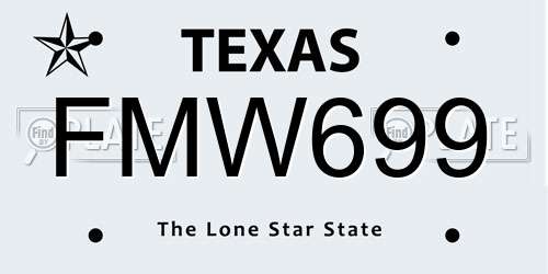 FMW699 Texas License Plate