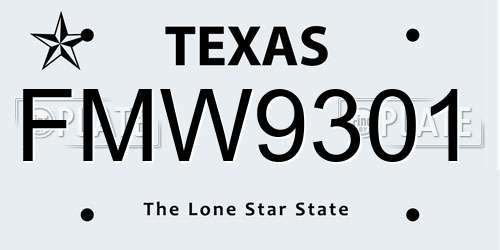 FMW9301 Texas License Plate