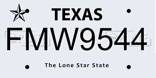 FMW9544 Texas License Plate