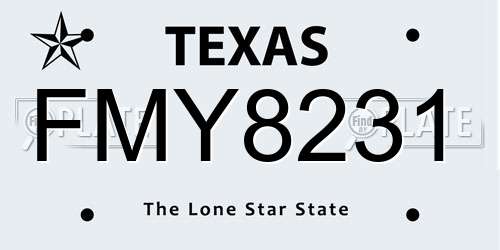 FMY8231 Texas License Plate