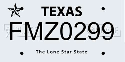 FMZ0299 Texas License Plate