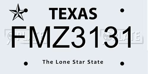 FMZ3131 Texas License Plate