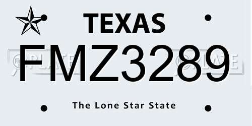 FMZ3289 Texas License Plate