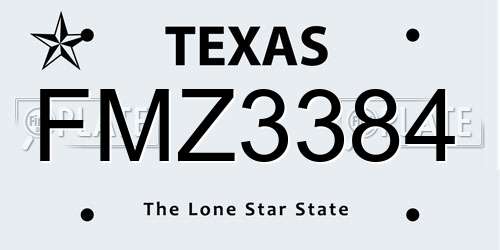FMZ3384 Texas License Plate