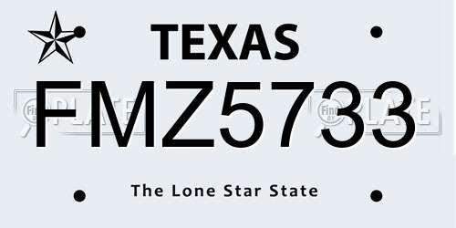 FMZ5733 Texas License Plate