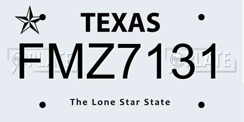 FMZ7131 Texas License Plate