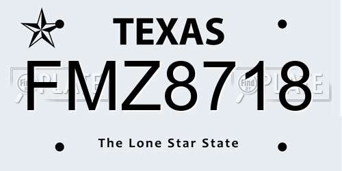 FMZ8718 Texas License Plate