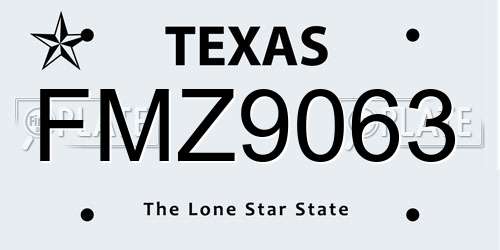 FMZ9063 Texas License Plate