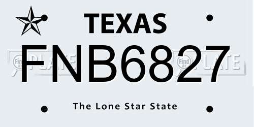 FNB6827 Texas License Plate