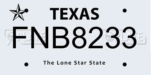 FNB8233 Texas License Plate