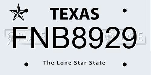 FNB8929 Texas License Plate