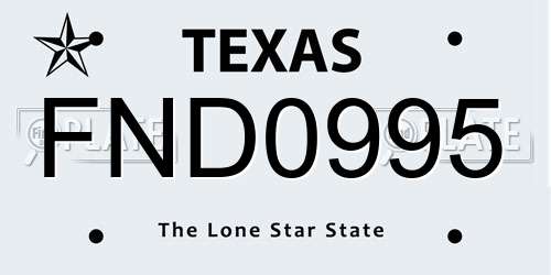 FND0995 Texas License Plate