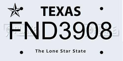 FND3908 Texas License Plate