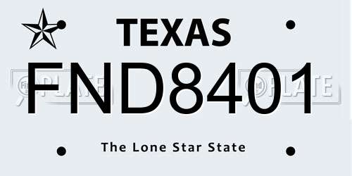 FND8401 Texas License Plate