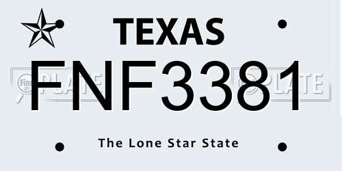 FNF3381 Texas License Plate