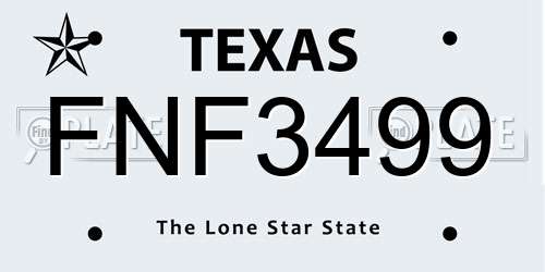 FNF3499 Texas License Plate