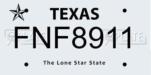 FNF8911 Texas License Plate