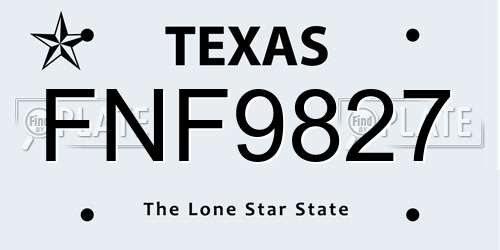 FNF9827 Texas License Plate
