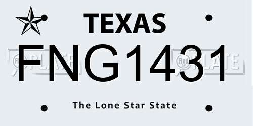 FNG1431 Texas License Plate