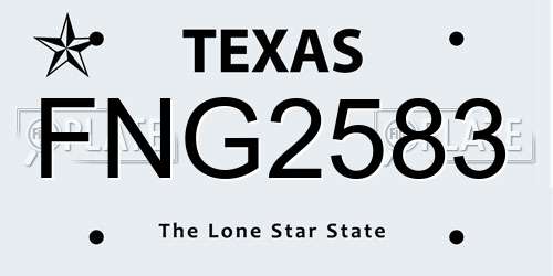 FNG2583 Texas License Plate