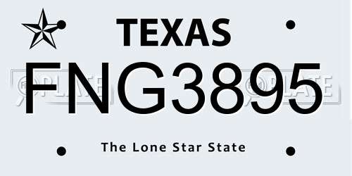 FNG3895 Texas License Plate