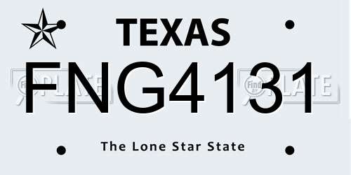 FNG4131 Texas License Plate