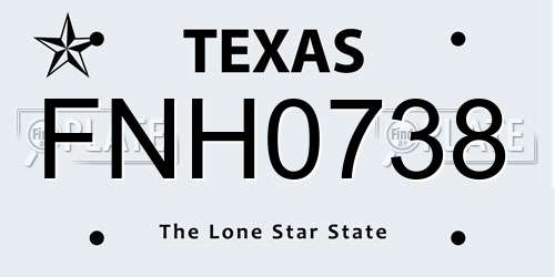 FNH0738 Texas License Plate
