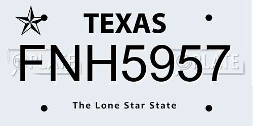 FNH5957 Texas License Plate