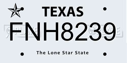 FNH8239 Texas License Plate
