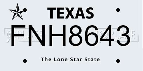 FNH8643 Texas License Plate