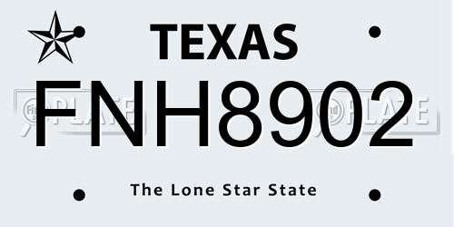 FNH8902 Texas License Plate