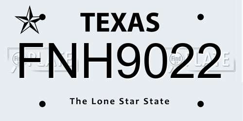 FNH9022 Texas License Plate