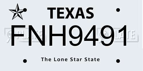 FNH9491 Texas License Plate