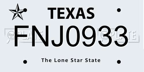 FNJ0933 Texas License Plate