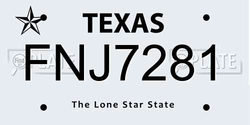 FNJ7281 Texas License Plate