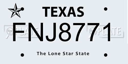 FNJ8771 Texas License Plate